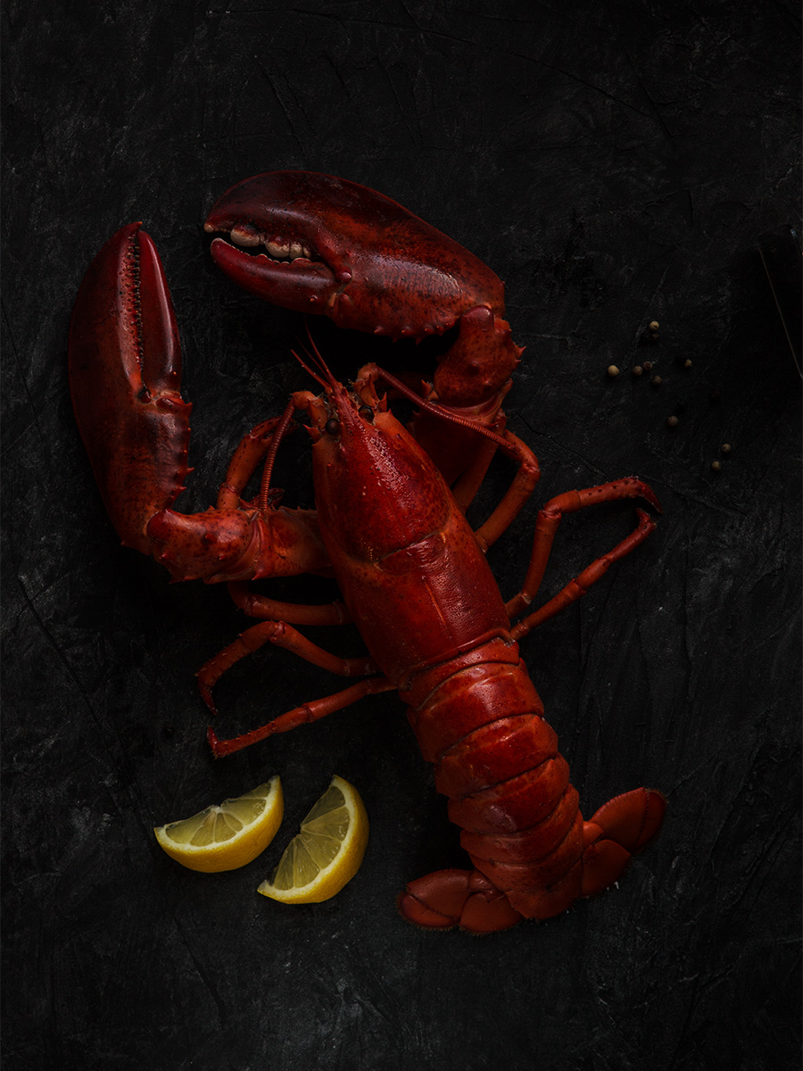 MSC-lobster-dark-gabetoth