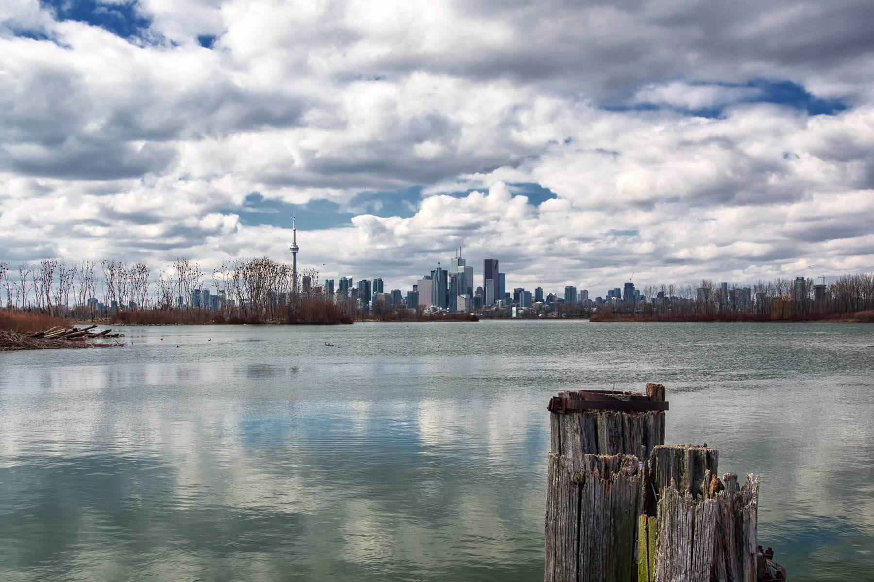 Toronto from Tommy Thompson Park